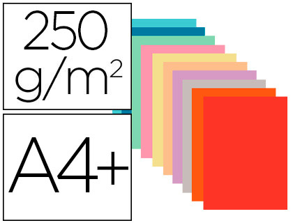 CHEMISE EXACOMPTA SUPER CARTE 240X320MM 210G COLORIS ASSORTIS PACK 10 UNITS