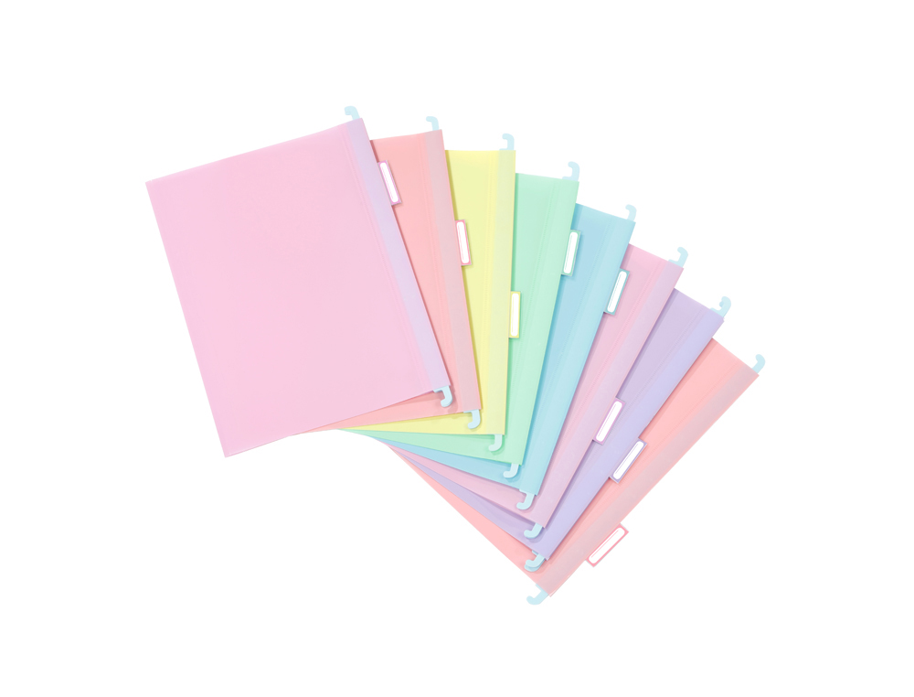 DOSSIER SUSPENDU VIQUEL RAINBOW PASTEL POLYPROPYLENE  COLORIS ASSORTIS LOT 8 UNITES